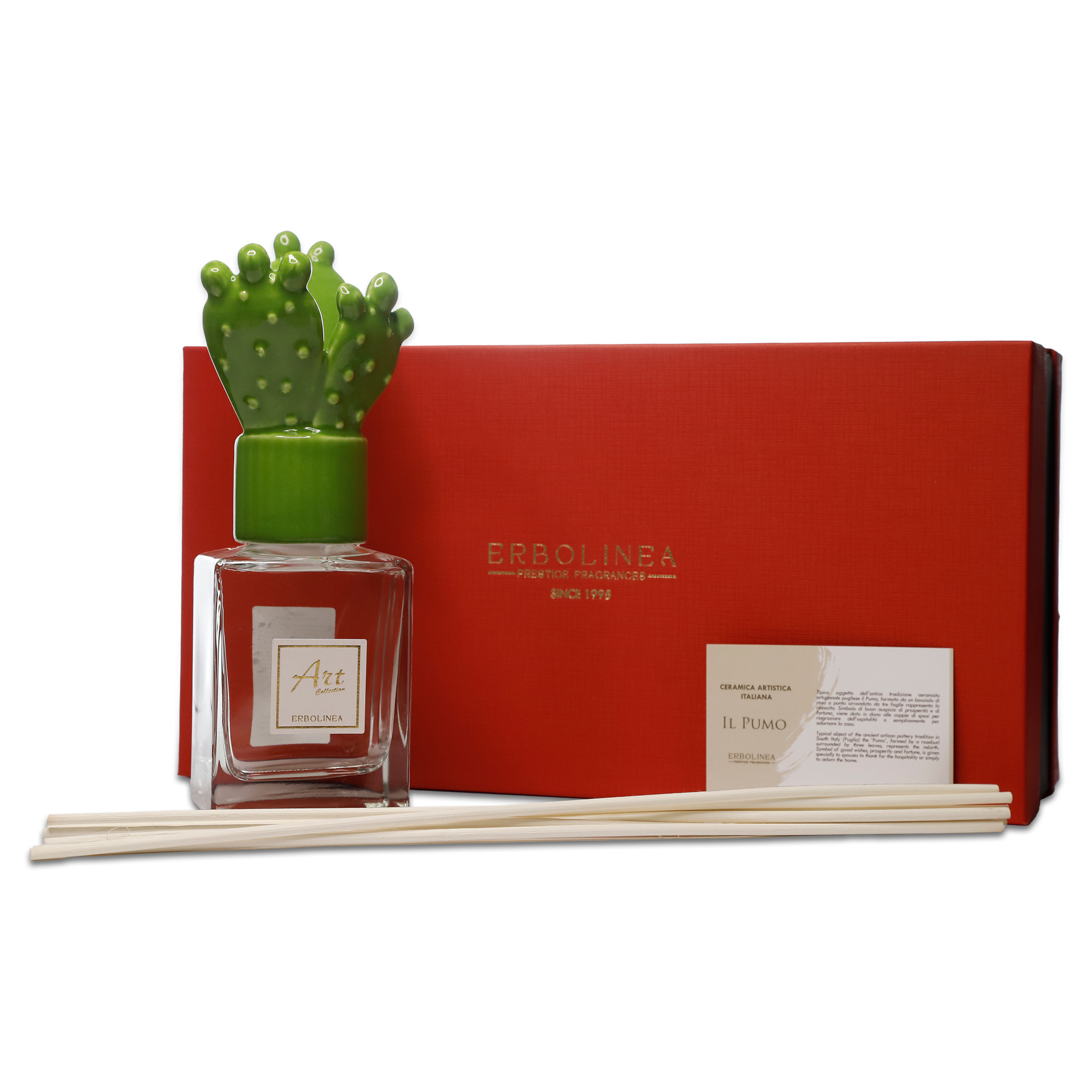 scatola-cactus-verde-chiusa