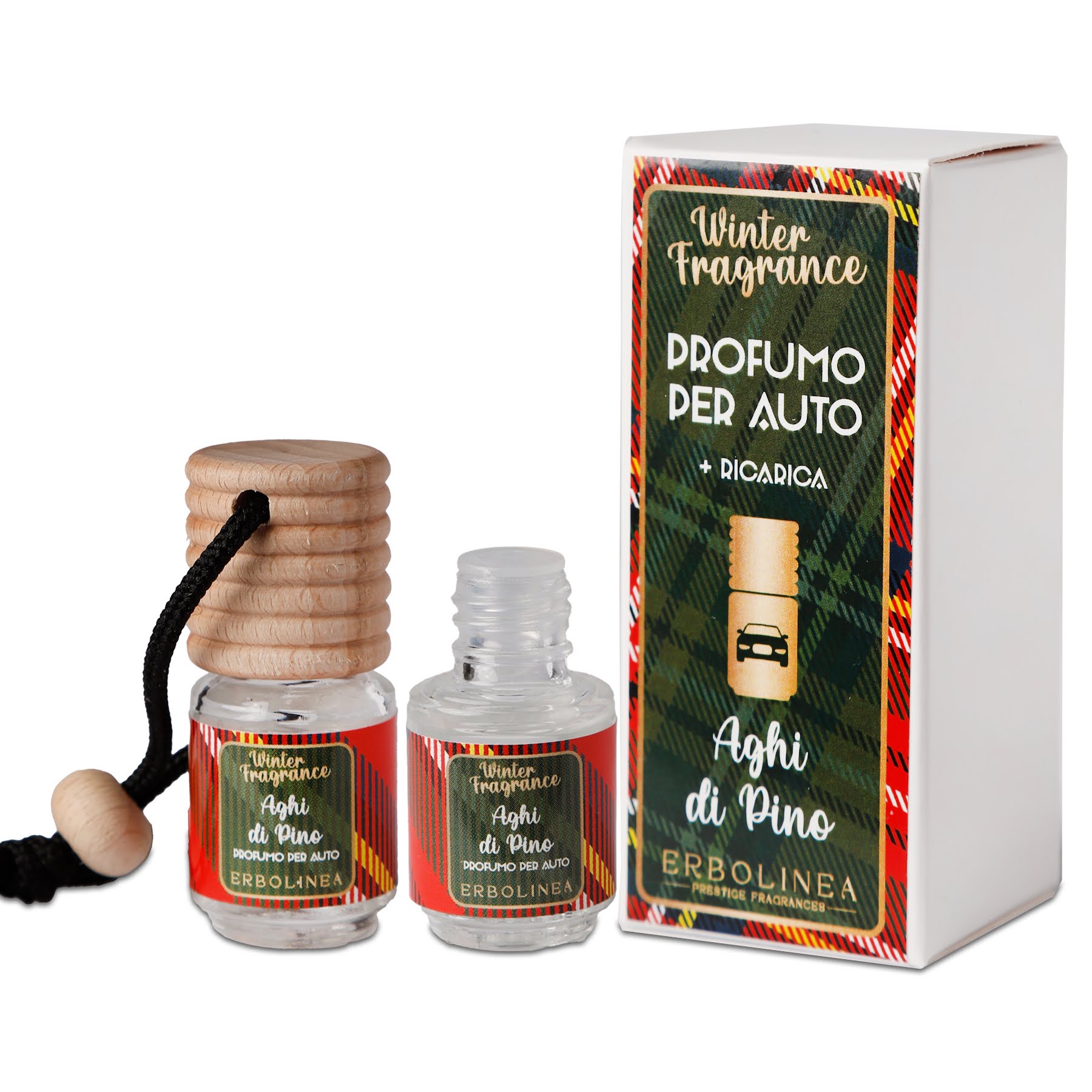 prof-auto-winter-aghi-dipino-completo