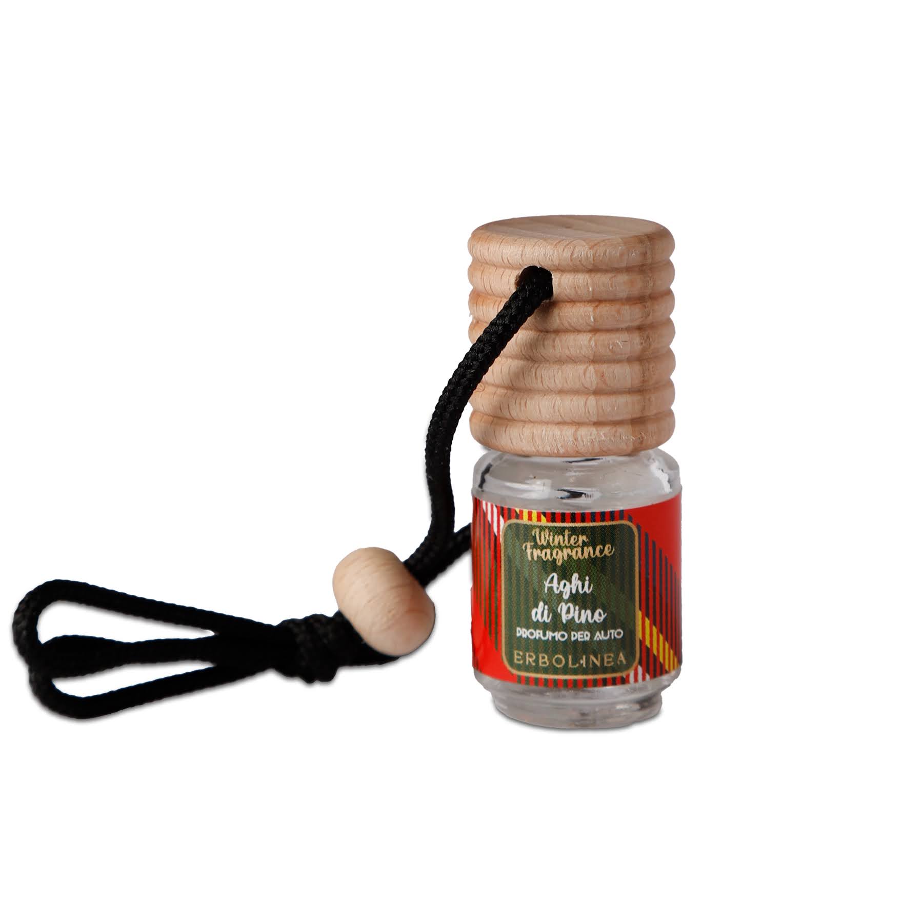 prof-auto-winter-aghi-dipino