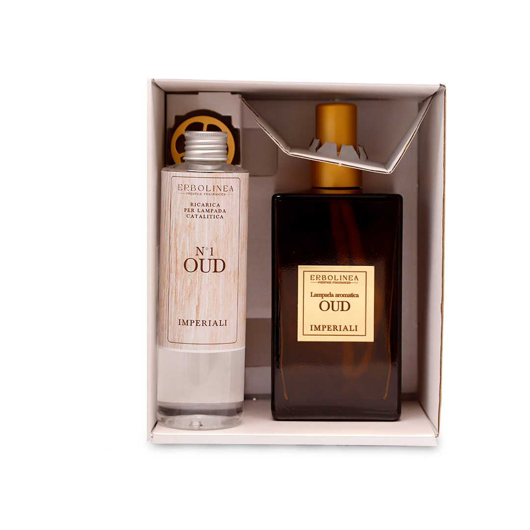 box-catalitica-oud-aperto