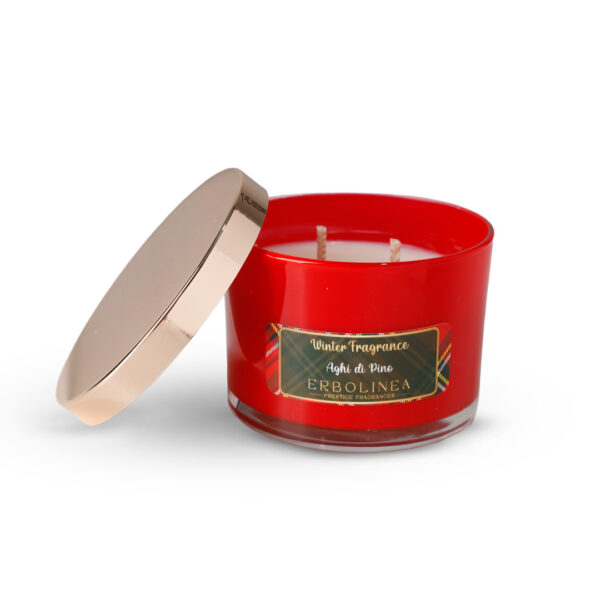 Winter Fragrance Candela natalizia profumata 100% Soia